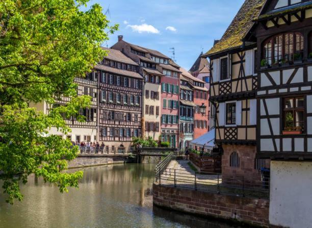 Le Cocon - Proche Gare - Lumineux & Centre Ville - Commerces A Proximite Strasbourg Exteriör bild